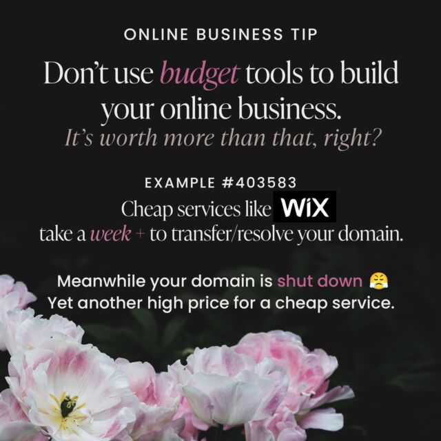 ☀️ Your online business deserves great tools that will yield great results ☀️

❌ Bad tools = bad results.
 ✅ High quality tools = high quality results

This is just one of the many, many hangups, annoyances, troubles, wasted money, and missed opportunities you will face in using budget solutions.

People often think the web world is removed from our economic reality, but it's not. You get what you pay for. There are cheap options out there for everything, and there are quality options. They will yield DRASTICALLY different results. 

If you are on Wix, and realize your mistake and want to move to a better platform like WordPress, Ghost, or a custom build...it will take a week at least to transfer your domain from Wix to your new site. It should take a few minutes, or a few hours at most. Meanwhile, your site is down!
Another high price for using cheap services.

✨ The best advice is to not use budget tools in the first place.

✨ As your strategic web partner, Sonni Web guides you through the illusive web world and ensures your online business is supported by the best tools, methods, and resources.